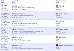 domains and IP # of last 100 visitors